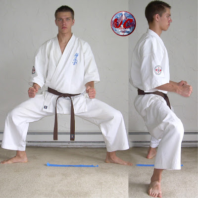 Karate Dragon Stance